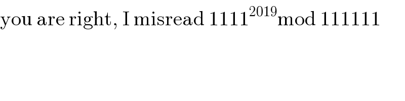 you are right, I misread 1111^(2019) mod 111111  